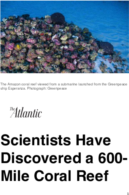 Scientists Discover New 600- Mile Coral Reef In Brazil - Atlantic (600x776), Png Download