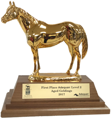 Aqha Level 2 Champion Duplicate Trophy - Sorrel (600x600), Png Download