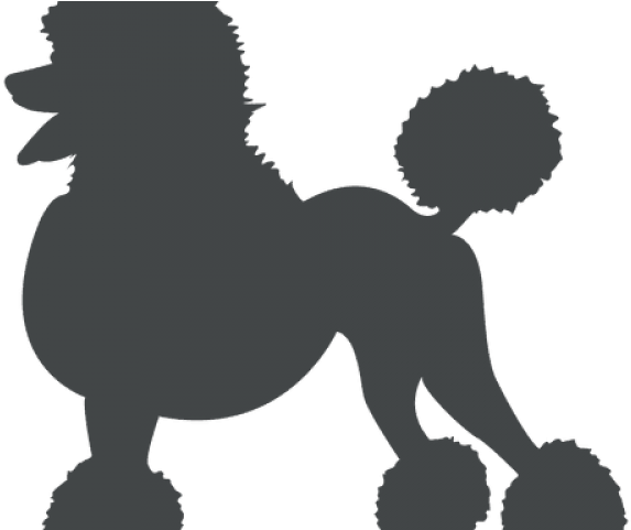 Poodle Clipart Svg - Dibujo Poodle Png (640x480), Png Download