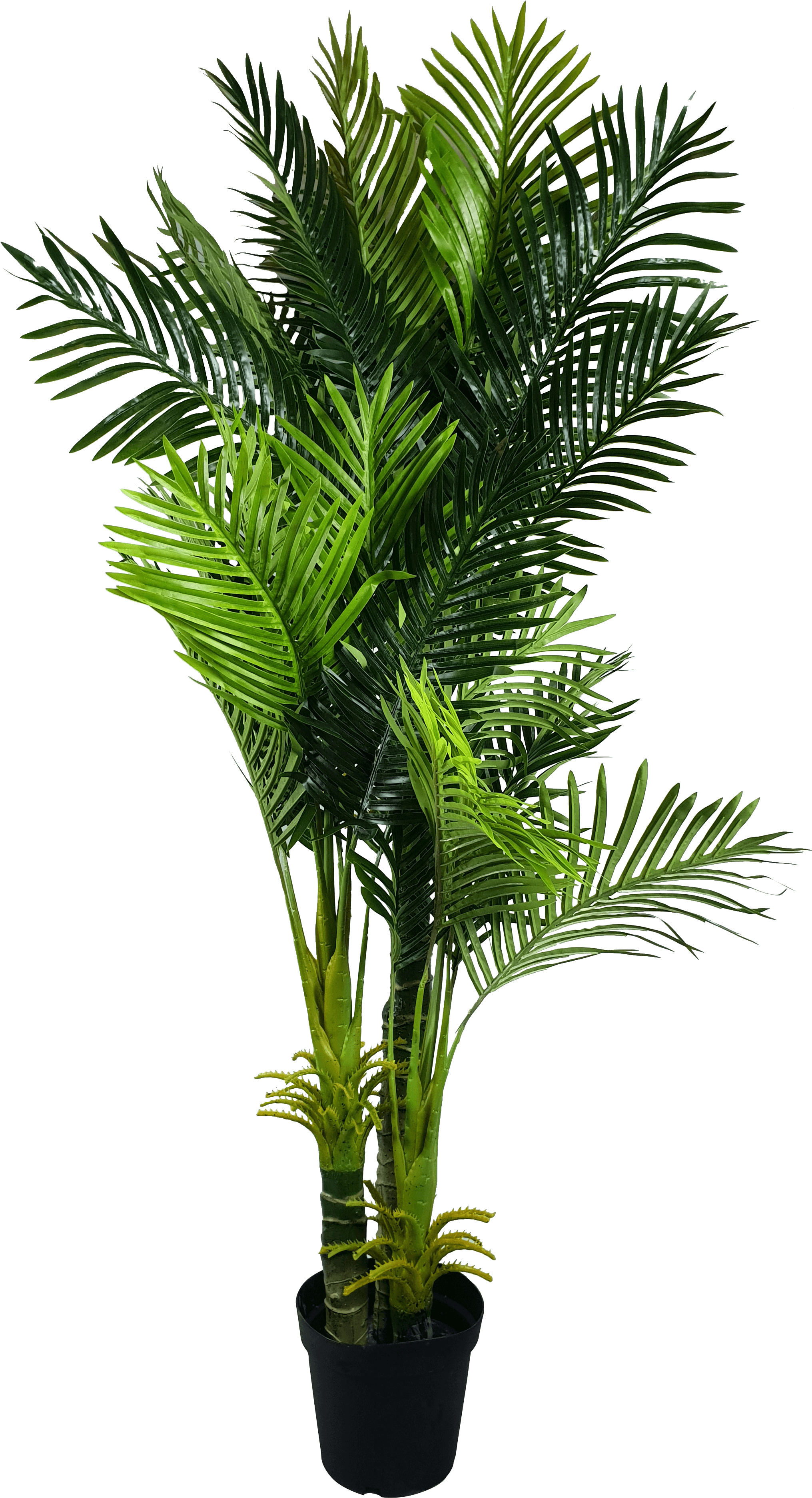 Multi Trunk Artificial Hawaii Palm Tree - Fishtail Palm Indoor (3024x4032), Png Download