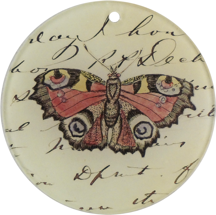 Moth (800x800), Png Download