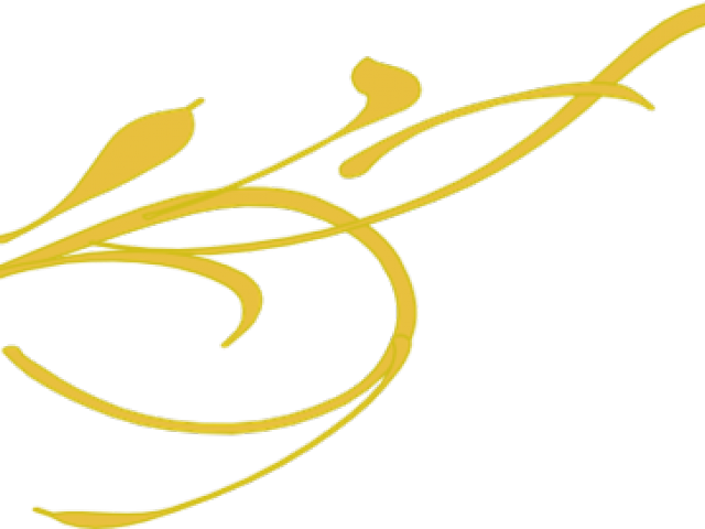 Gold Flower Line Png (640x480), Png Download