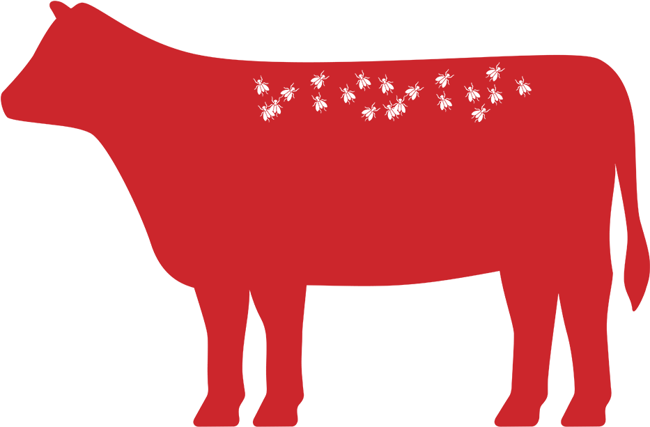 Image Image - Bull (960x960), Png Download