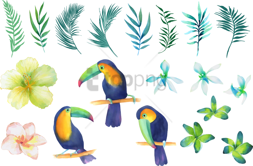 Free Png Watercolor Painting Png Image With Transparent - Watercolor Painting (850x558), Png Download