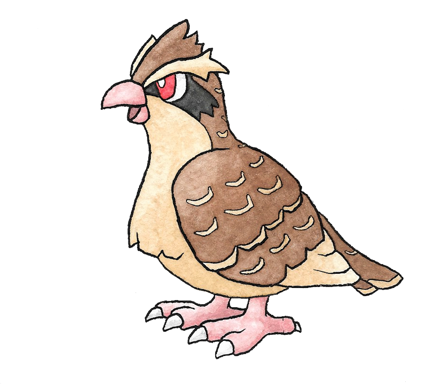 The New 151 - Illustration (1000x908), Png Download