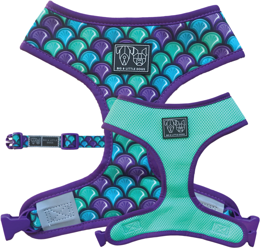 Reversible Dog Harness - Surfing (1024x1024), Png Download