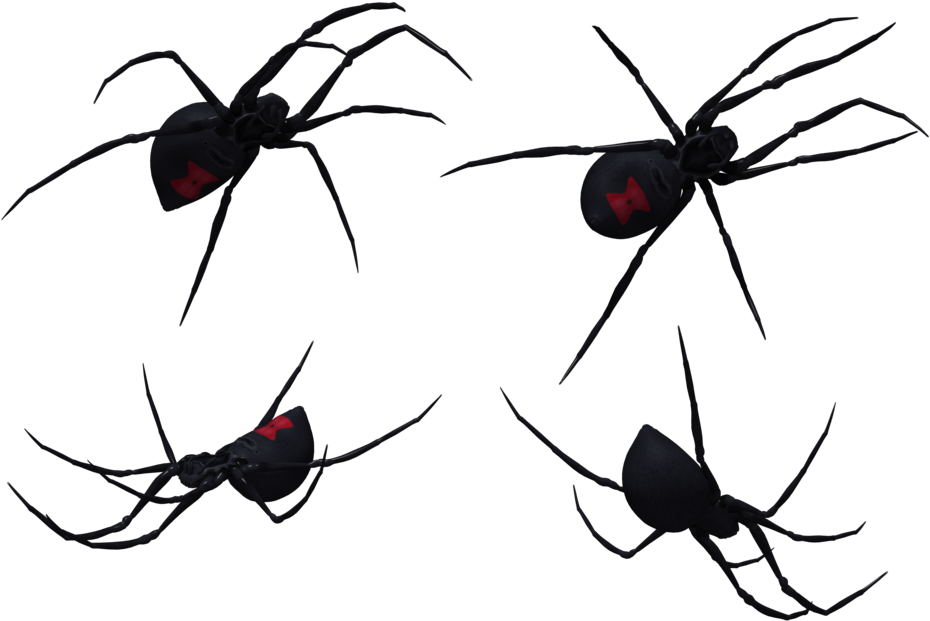 Mosquito Formiga Vi Va - Southern Black Widow (1024x645), Png Download