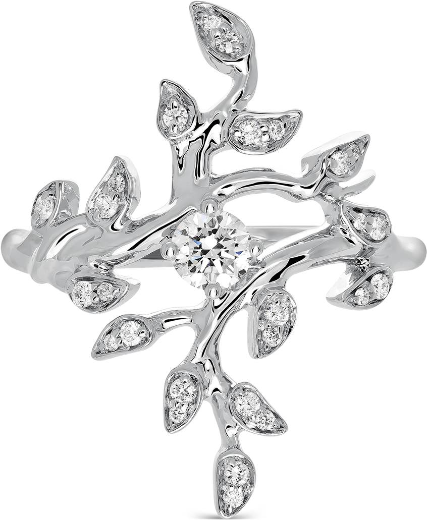 White Gold Ring, So17159-igd020 - Diamond (1200x1200), Png Download