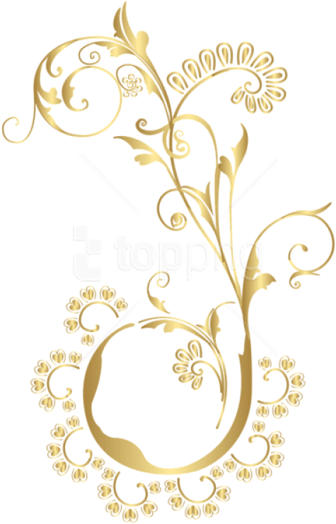 Free Png Download Gold Floral Element Clipart Png Photo - Gold Floral Design Png (480x752), Png Download