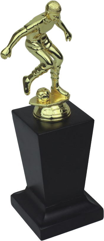 Trophy (691x820), Png Download