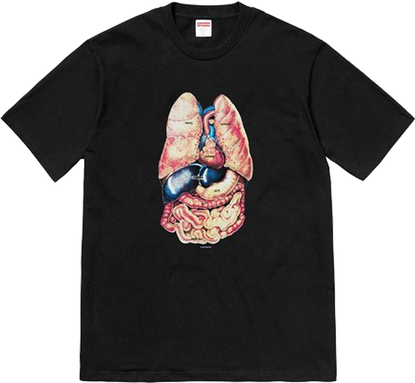 Supreme Guts Tee Black - Supreme Guts Tee (1024x768), Png Download