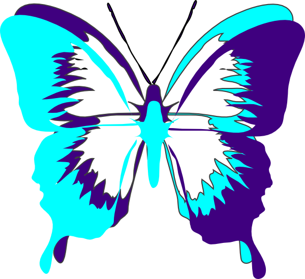 Butterfly Drawing Images Download (600x549), Png Download
