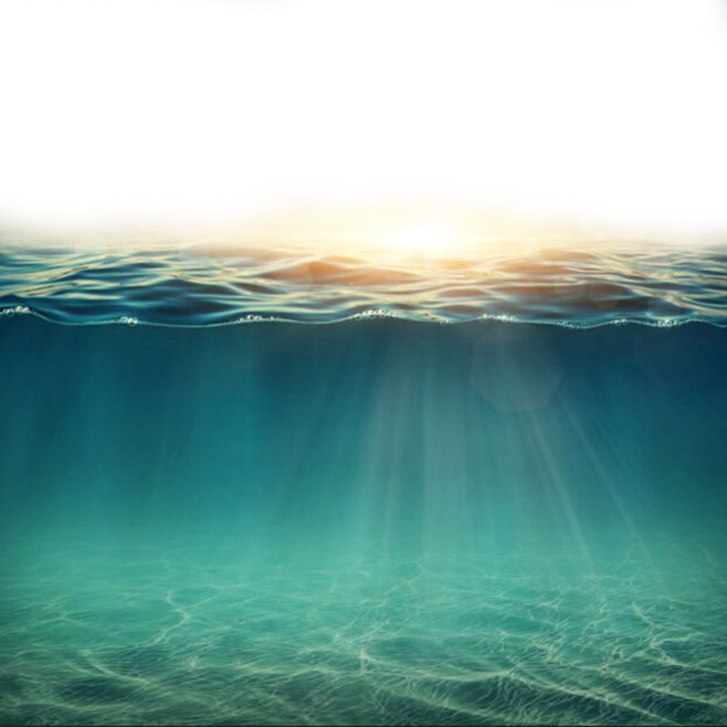 Sea Clipart Wind Wave - Sea Underwater Png (658x658), Png Download