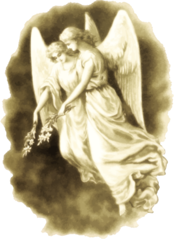 Angels - Portable Network Graphics (584x800), Png Download