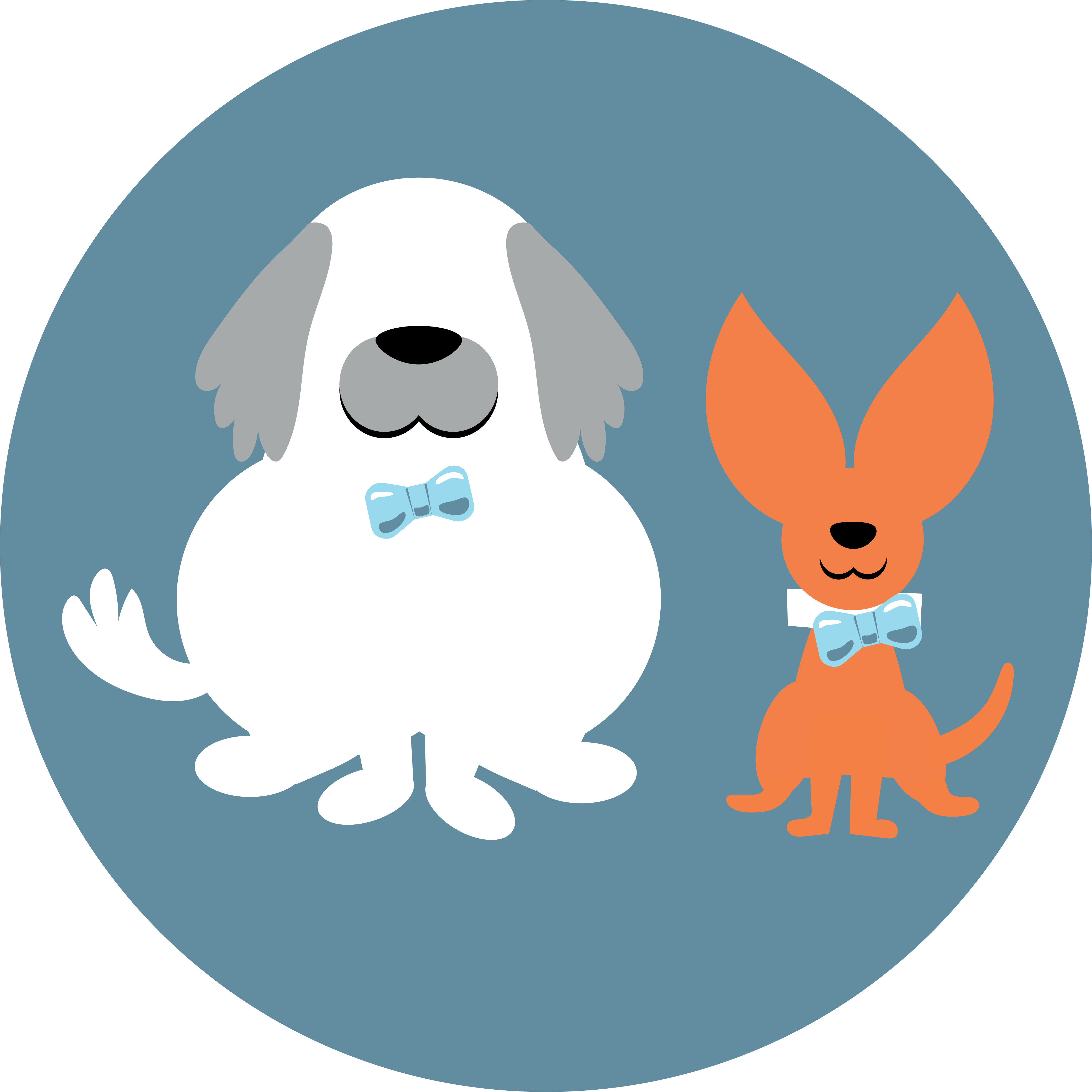 Foralldogs - Pets Illustration Png (4167x4167), Png Download