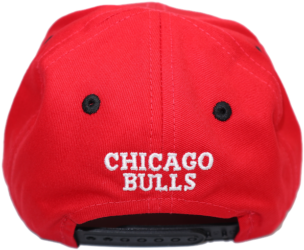 Chicago Bulls Nba Team Logo 2-tone Infant Snapback - Chicago Bulls (1000x667), Png Download
