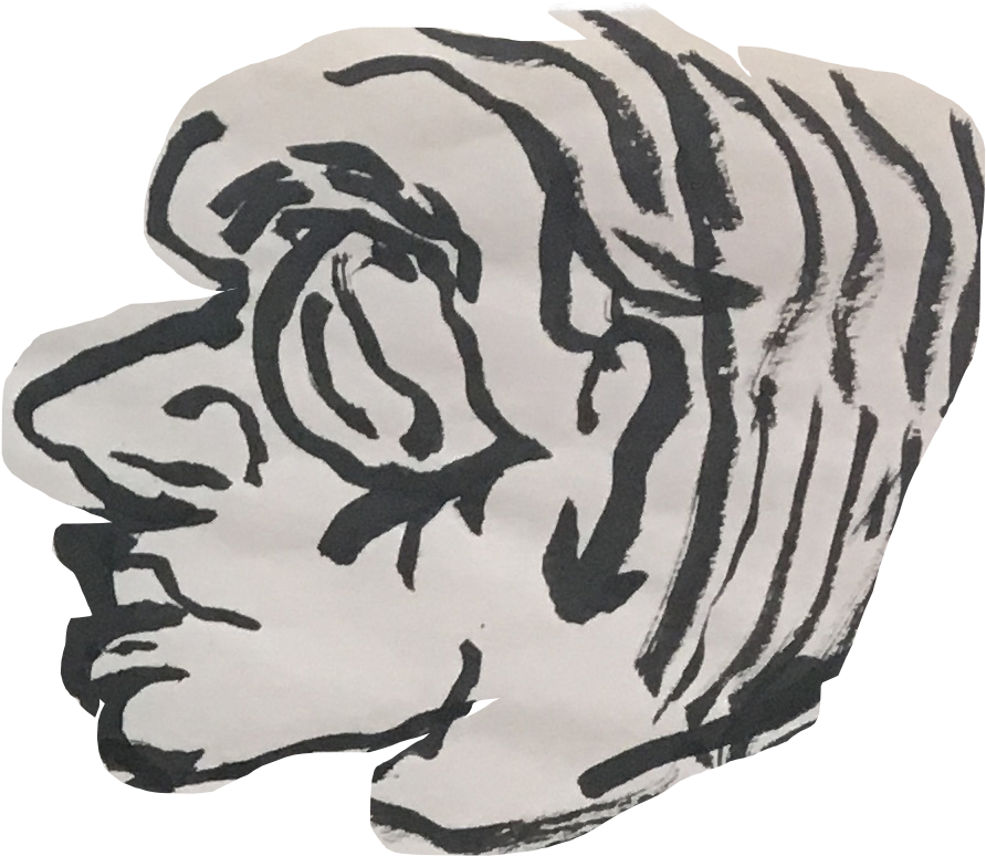 Tiger (925x822), Png Download