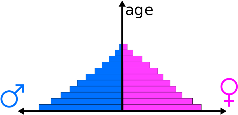 Click On The Image Above To Download The Lesson - Population Graph Of Libya (1000x493), Png Download
