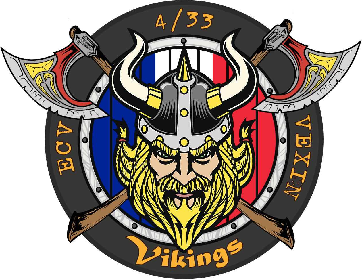 Patch Officiel Propa - Viking Warrior (1260x970), Png Download