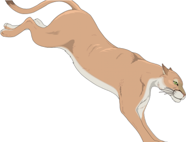 Cougar Clip Art (640x480), Png Download