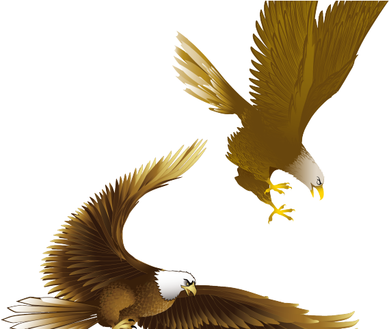 Drawn Bald Eagle Vector - Eagle Drawing Art (640x480), Png Download