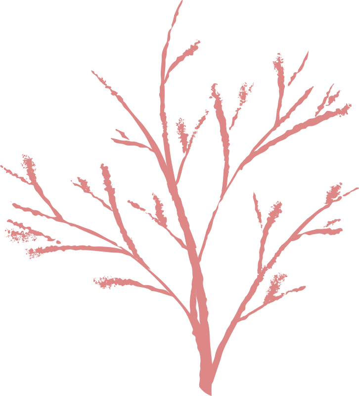 Free Tree - กิ่ง ไม้ Png (726x800), Png Download