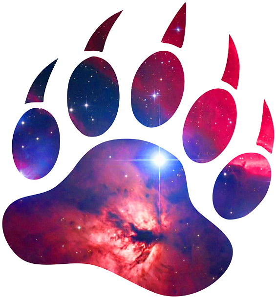 Bleed Area May Not Be Visible - Clip Art Grizzly Paw (600x649), Png Download