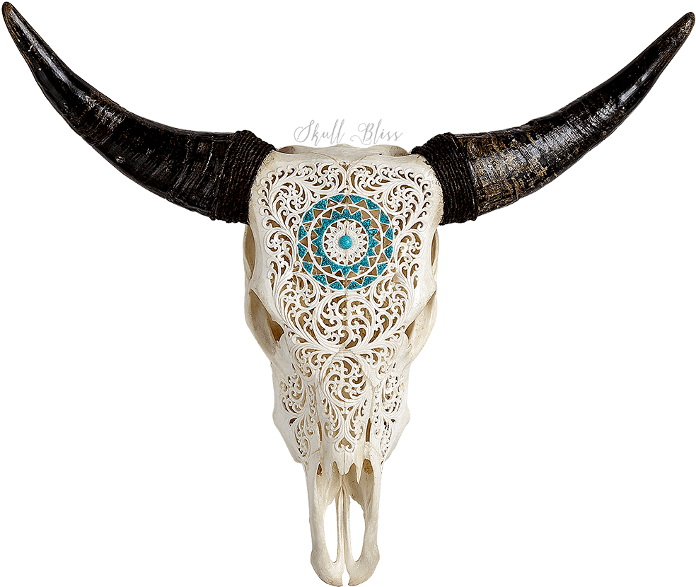 Cow Skull Transparent (1000x1000), Png Download