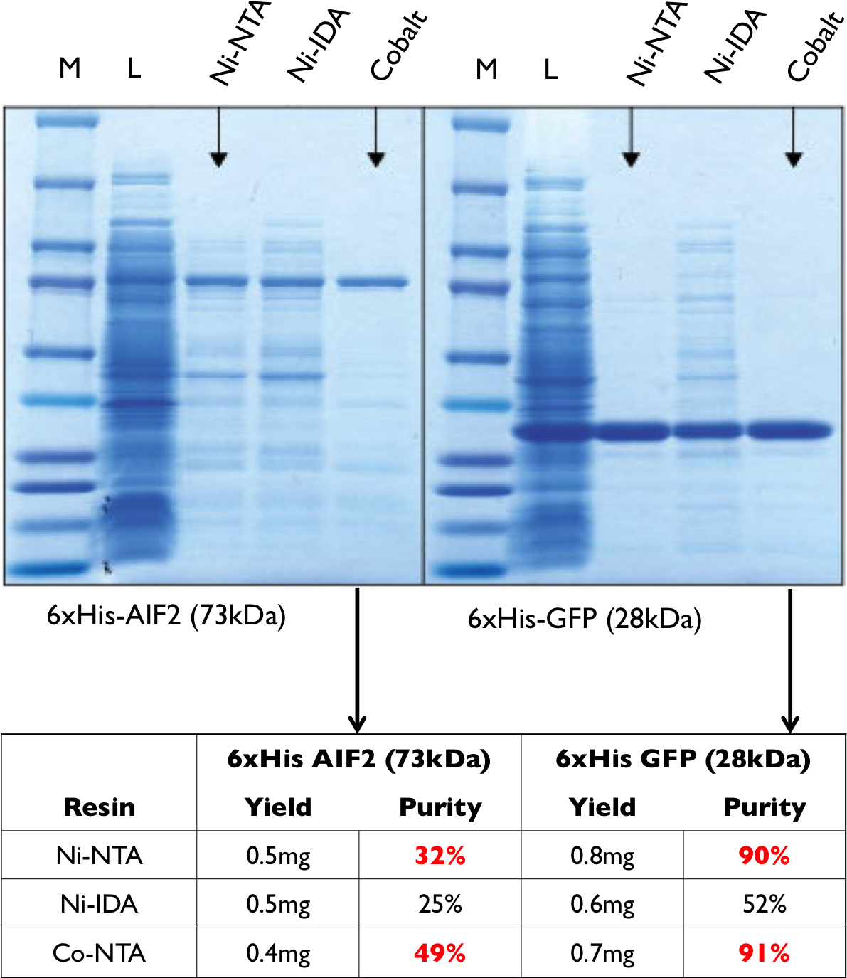 Nickel Vs Cobalt - Cobalt Vs Nickel Imac (1210x1410), Png Download