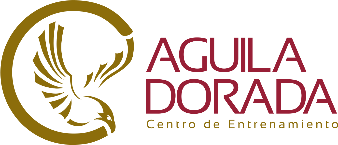 Águila Dorada - Logo Aguila Dorada Png (1563x675), Png Download