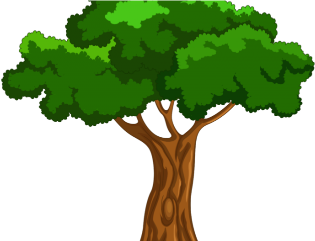 Tree Clipart Clipart Mango Tree - Cartoon Big Tree Png (640x480), Png Download