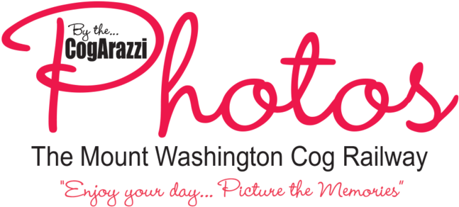 Cogarazzi Web Logo Final - Washington State Department Of Enterprise Services (815x473), Png Download