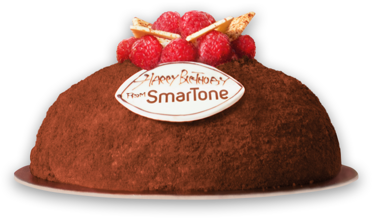 Deluxe Birthday Cake - Chocolate Cake (800x553), Png Download