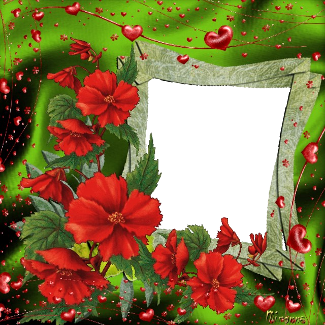 Photo Love02 - Hawaiian Hibiscus (640x640), Png Download