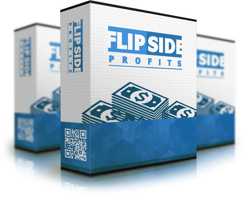 How To Make Money Flipping Domains Flipside Profits - Flipside Profits (800x639), Png Download