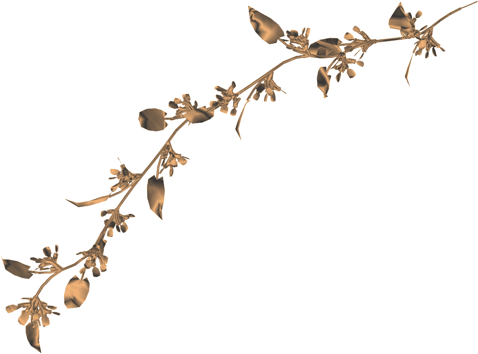 Twig (1024x768), Png Download