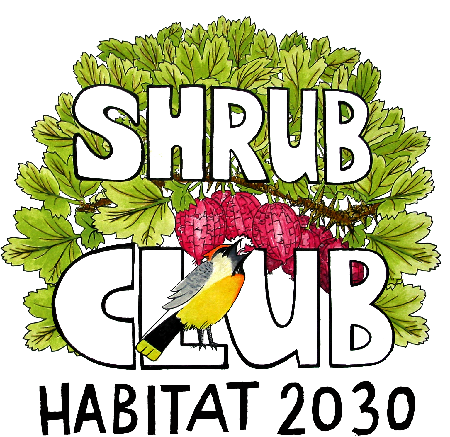 Climbing Plants Png (1576x1560), Png Download