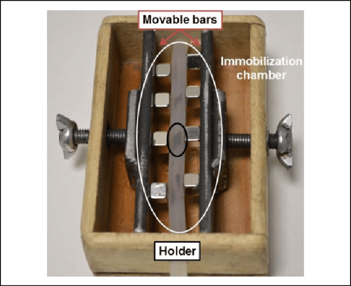 Picture Of The Immobilization Chamber - Plywood (707x577), Png Download