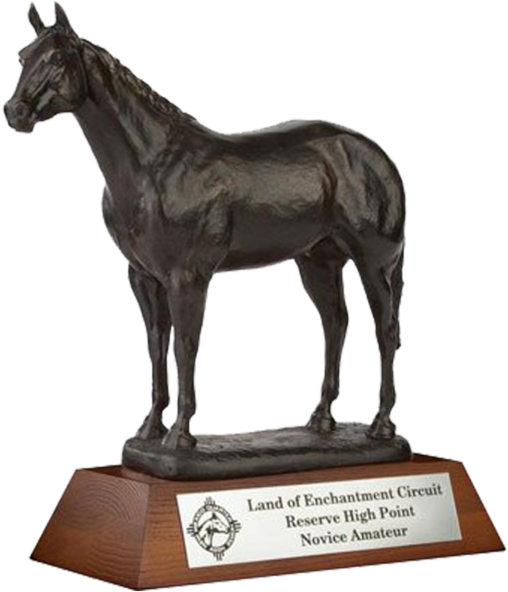 Awards - Horse Trophy (600x600), Png Download
