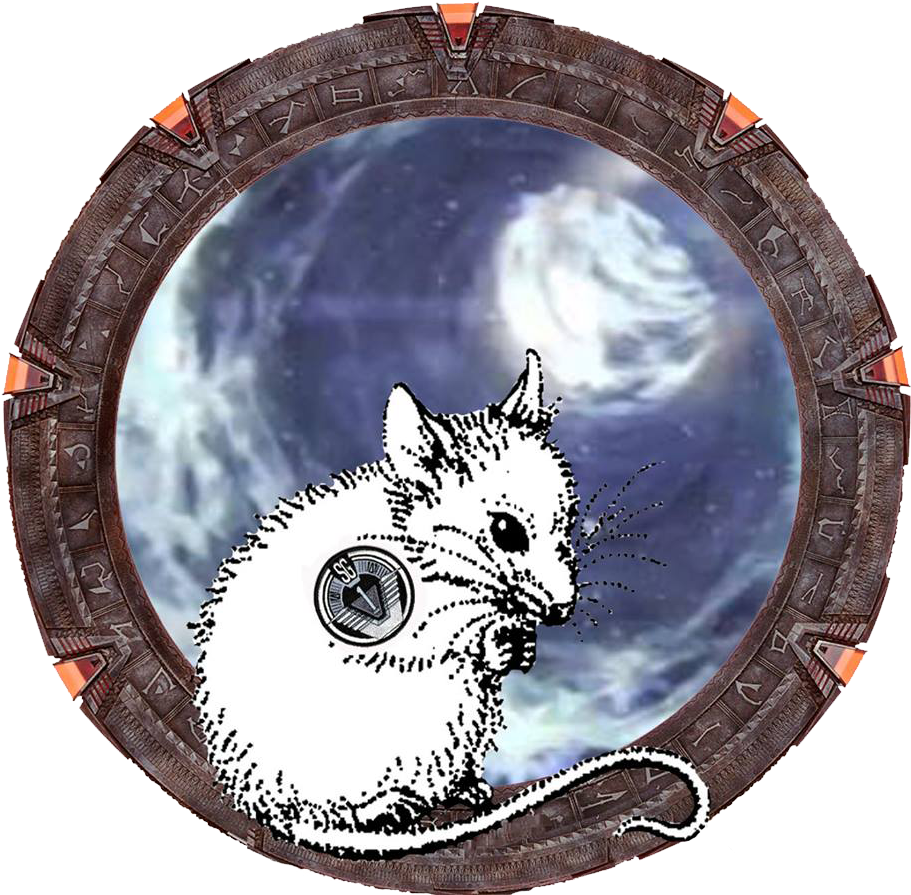 Kitten (960x938), Png Download