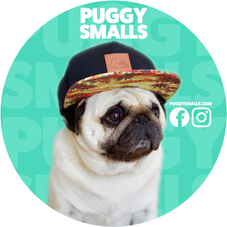 Puggy Smalls Sticker Pugcircle - Puggy Smalls (1000x1000), Png Download
