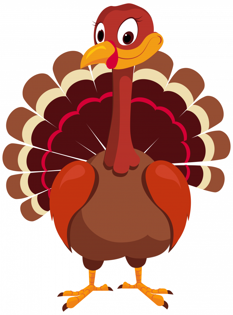 Turkey Thanksgiving Vector Png (817x1105), Png Download