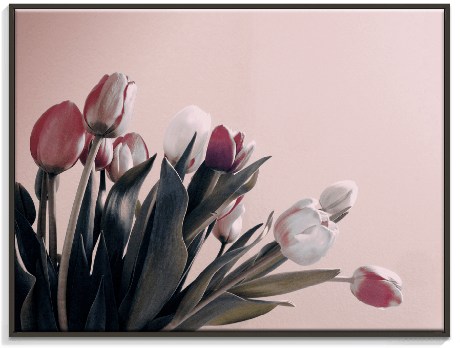119al Ffb Vintage Tulips - Achter Elke Traan Van Verdriet Zit Een Glimlach Van (900x900), Png Download