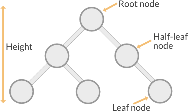 Binary Tree Definitions - Piercing En La Punta (640x480), Png Download
