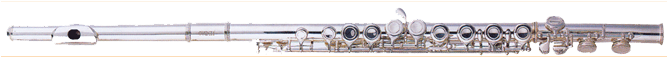 Fontaine C Flute Split E Mechanism Fbw107 - Piccolo Clarinet (666x518), Png Download