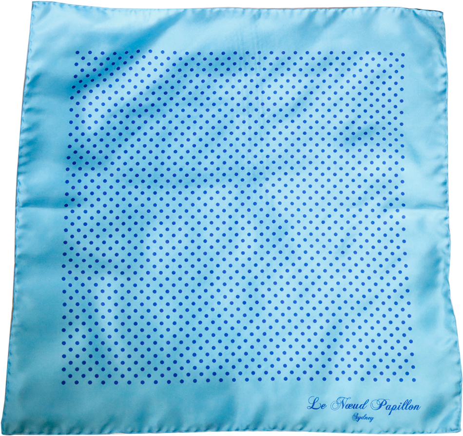 Sky Blue And Navy Large Polka Dot - Fence (1000x1000), Png Download