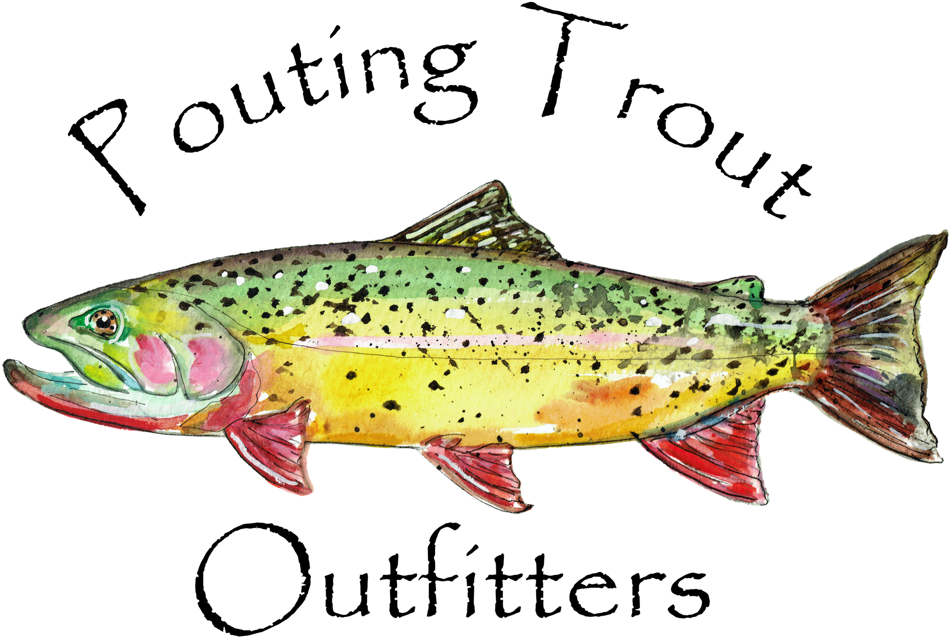Trout (2000x1524), Png Download