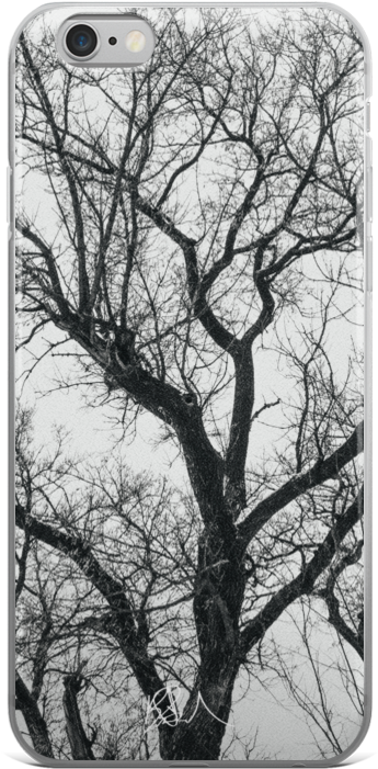 Made - Birch (1000x1000), Png Download
