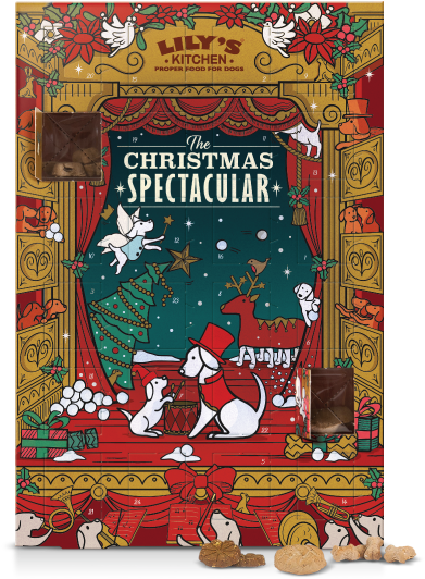 Advent Calendar For Dogs For Dogs - Lily's Kitchen Christmas Advent Calendar For Dogs (570x570), Png Download