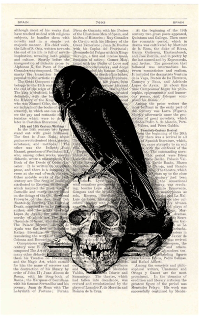Gothic Literature On Flowvella - Crow And Skull (667x648), Png Download